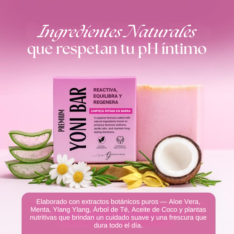Yoni Bar – Limpieza Íntima en Barra